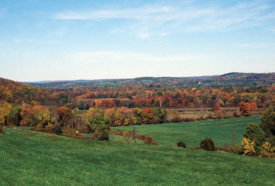 Hillside in fall at Wallkill River National Wildlife Refuge