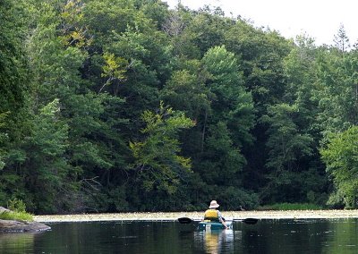 Wawayanda State Park